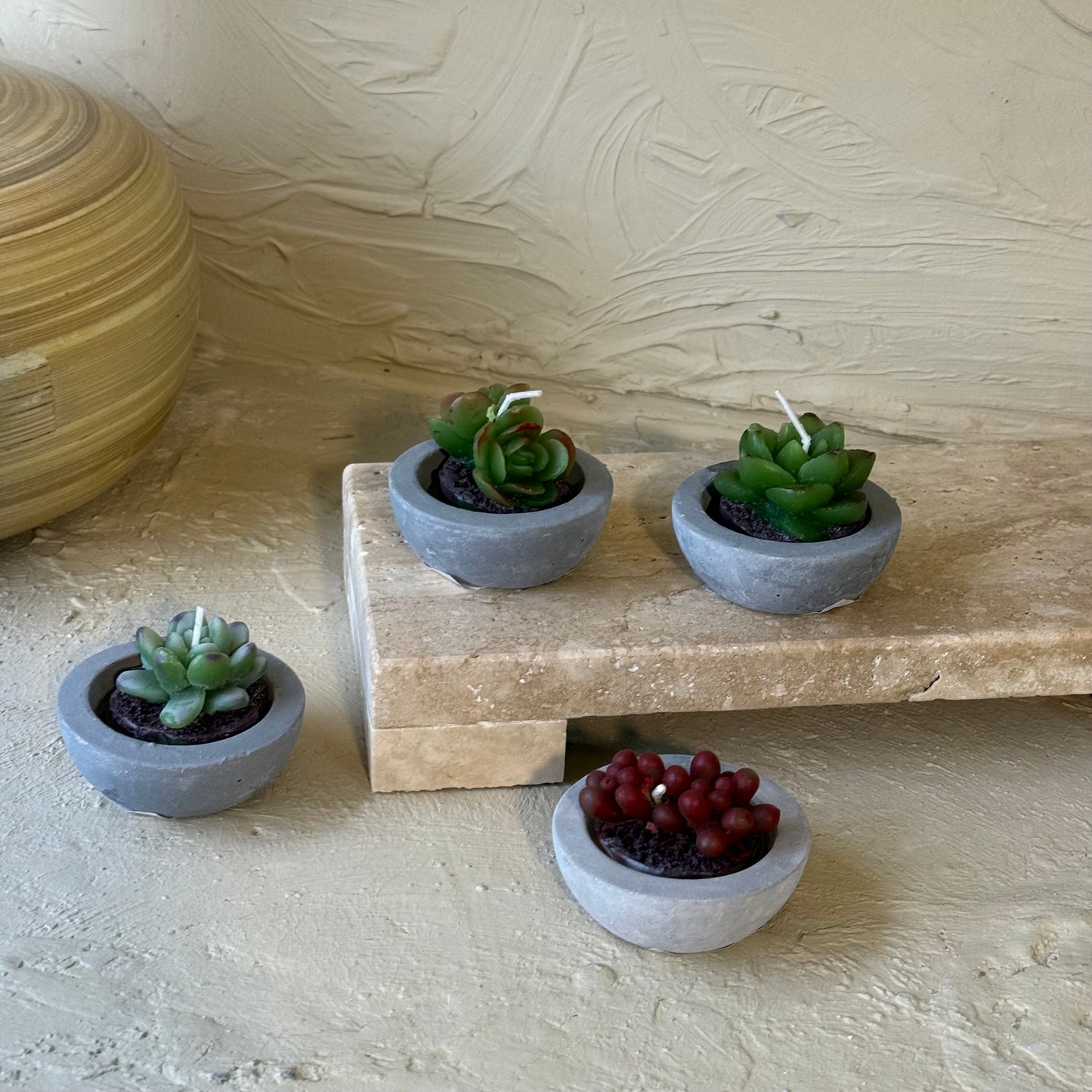 Kaktüs Saksılı Çiçek Mum Seti 4 Adet 6 CM