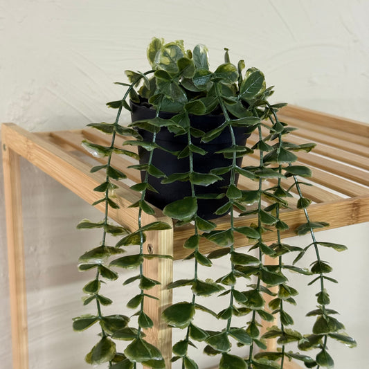 Evanev Yapay Sarkan Çiçek Saksı Büyük Boy 53 cm KOD:5846