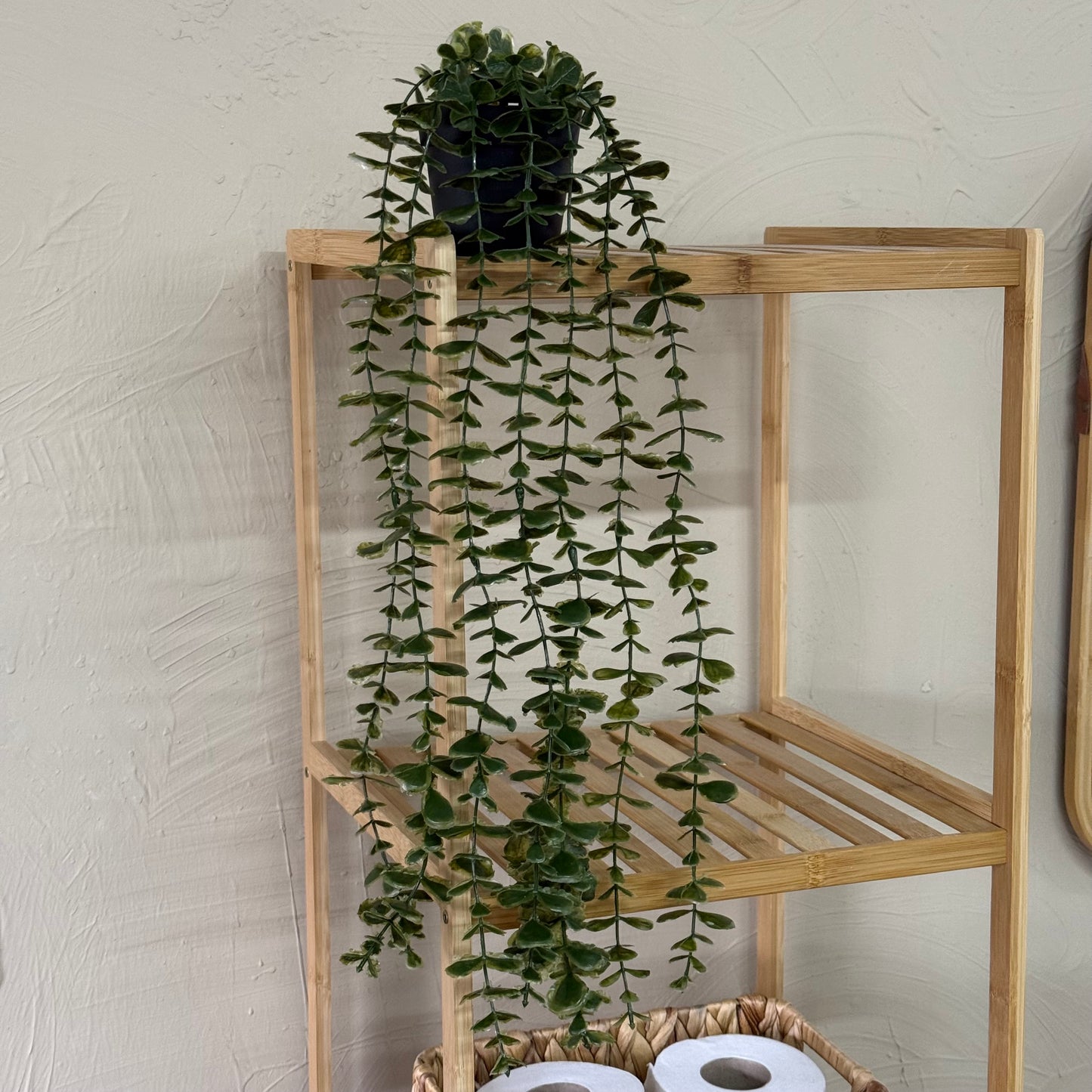 Evanev Yapay Sarkan Çiçek Saksı Büyük Boy 53 cm KOD:5846