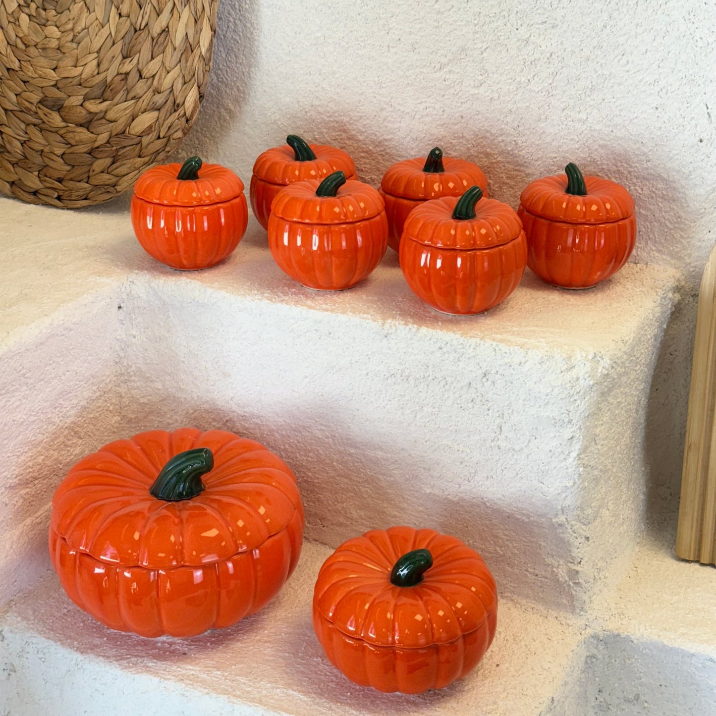 Alice 8 Parça Kabak Baharat Seti (Kısa Süreli Süper Fiyat)