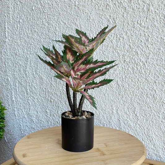 Coleus Saksılı Yapay Çiçek 30 cm Yeşil-Pembe