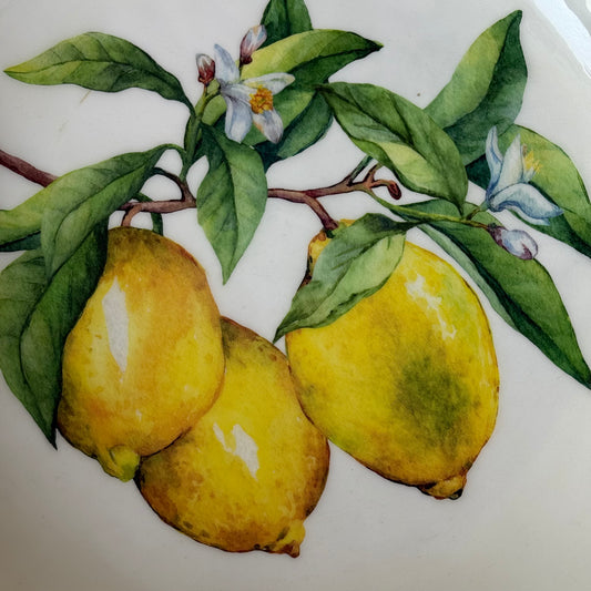 Selin Yuvarlak Büyük Boy Sunumluk Meyvelik Lemon Desenli KOD:HSL-03