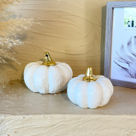 Arow Dekoratif İki Boy Kabak Seti Beyaz-Gold