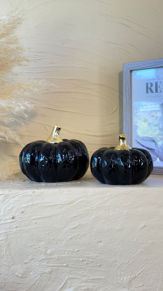 Arow Dekoratif İki Boy Kabak Seti Siyah