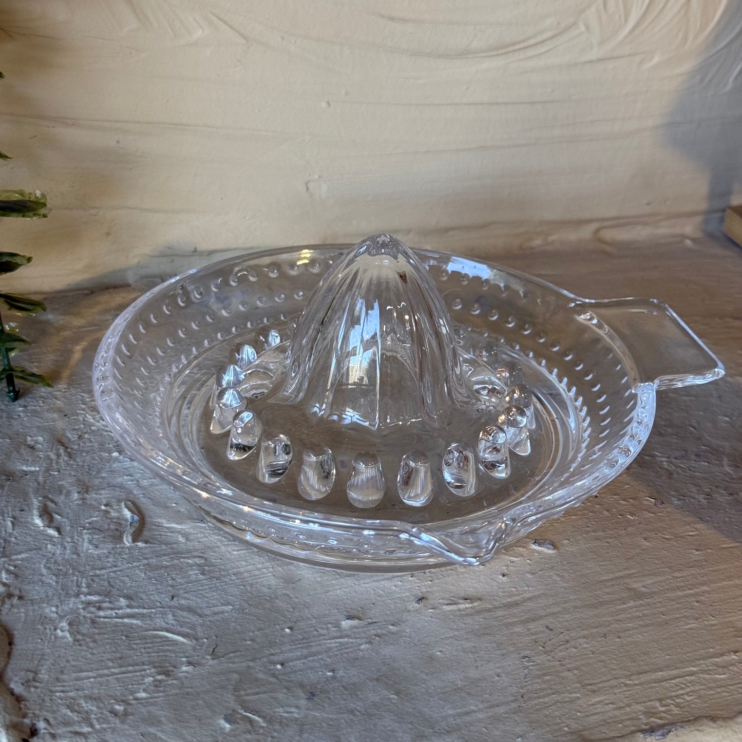 Evanev Home Cam Limon Sıkacağı 17'cm KOD:0063