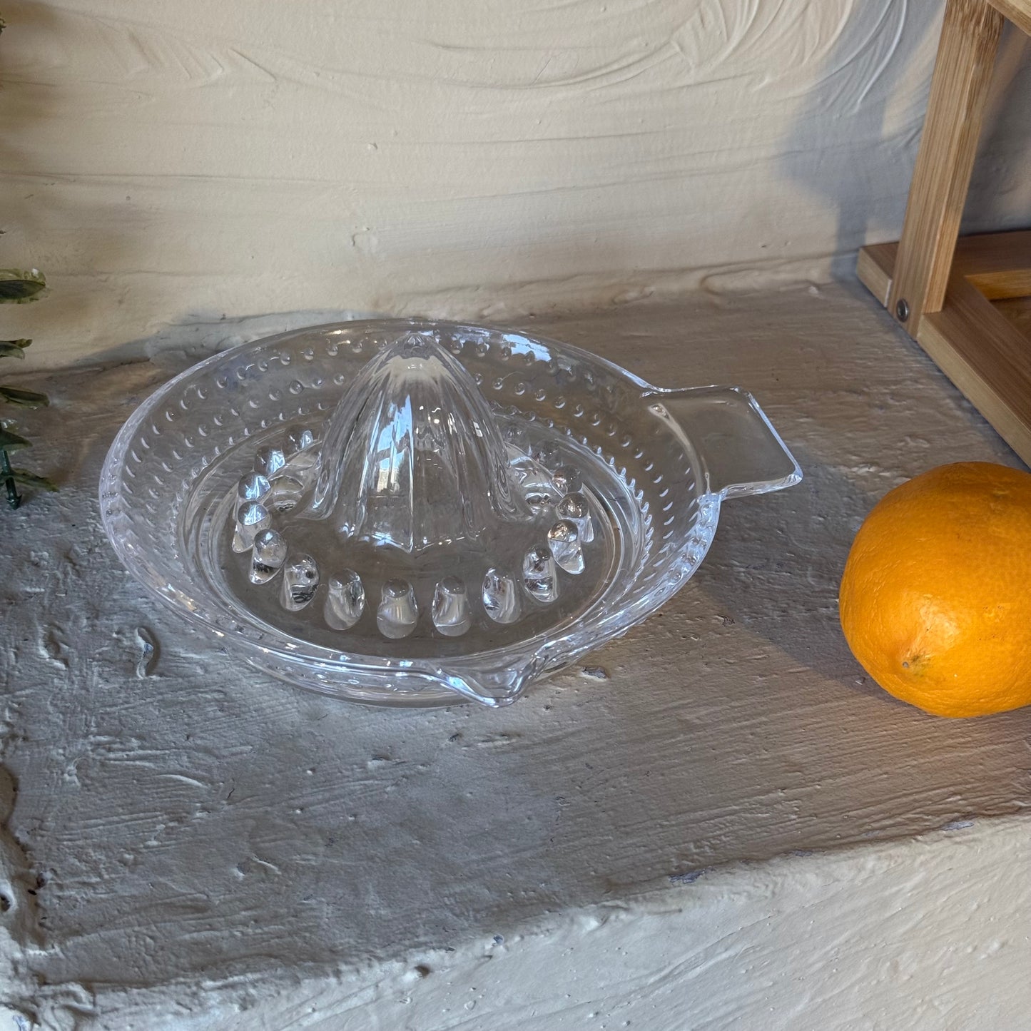 Evanev Home Cam Limon Sıkacağı 17'cm KOD:0063