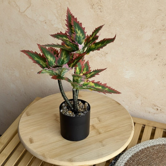 Coleus Saksılı Yapay Çiçek 30 cm Bordo-Yeşil