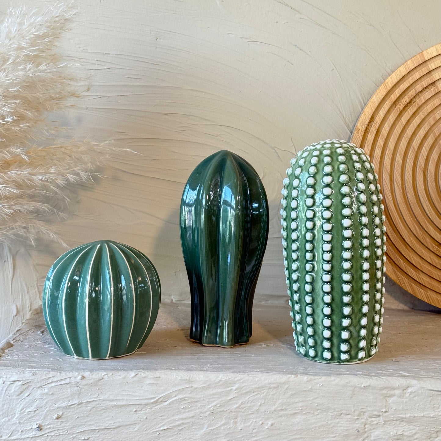 İKAE Kokosh 3'Lü Porselen Kaktüs Seti