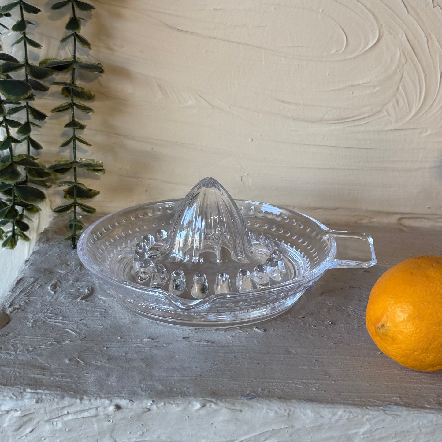 Evanev Home Cam Limon Sıkacağı 17'cm KOD:0063