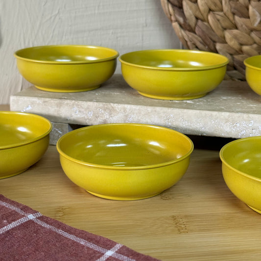 Silvia Çizilmez Fırın Boya Metal Çerezlik A Kalite Hardal Süper Fiyat