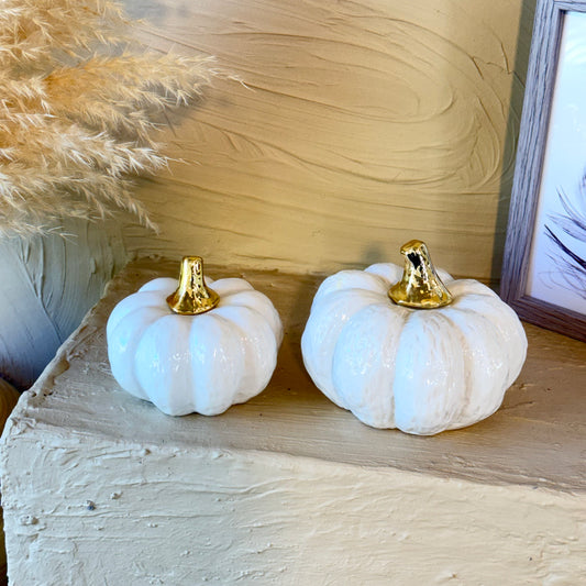 Arow Dekoratif İki Boy Kabak Seti Beyaz-Gold