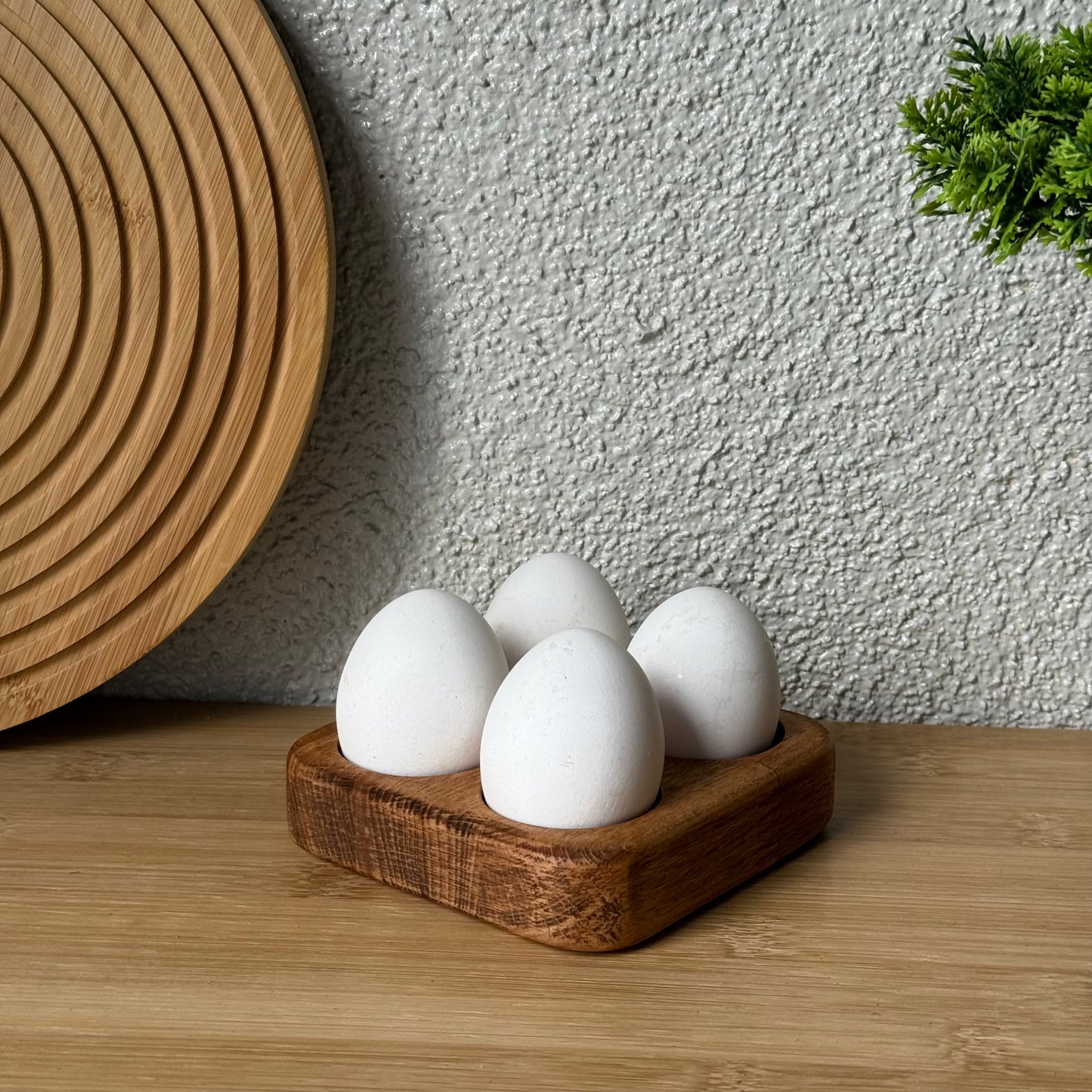 KASANDRA 4 Lü Yumurtalık