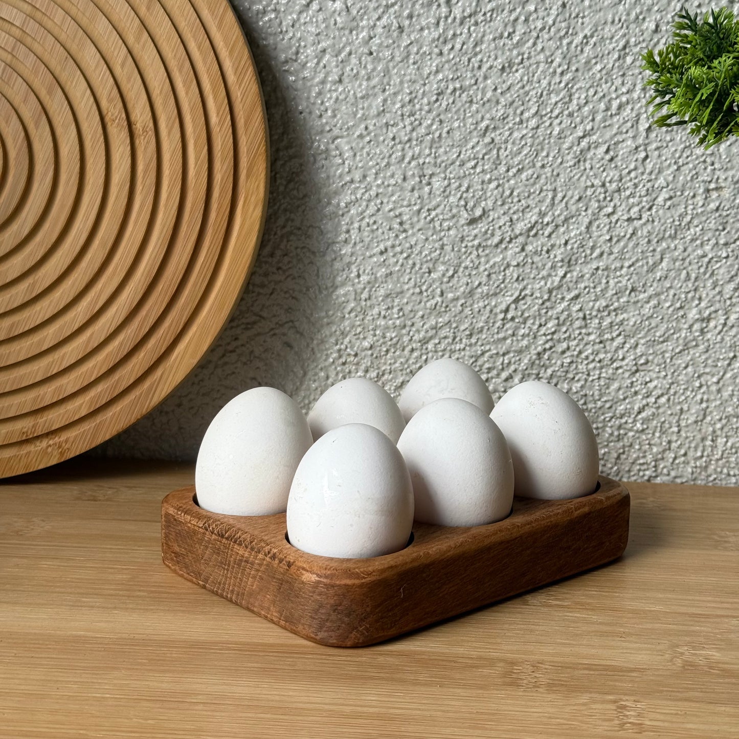 KASANDRA 6 Li Yumurtalık