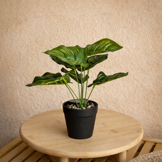 Difenbahya Saksılı Yapay Çiçek 25 cm Yeşil-İnçe Çizgili Yaprak