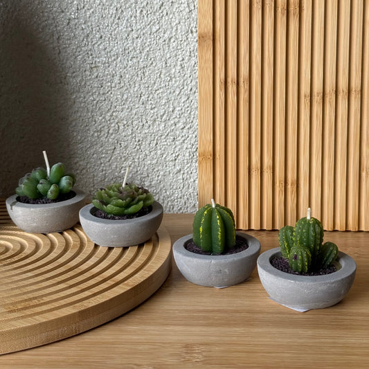Kaktüs Saksılı Çiçek Mum Seti 4 Adet 6 CM