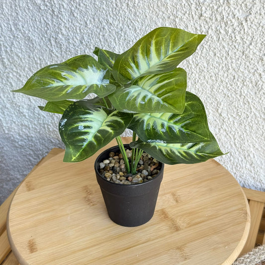 Difenbahya Saksılı Yapay Çiçek 25 cm Yeşil-Beyaz Yapraklı