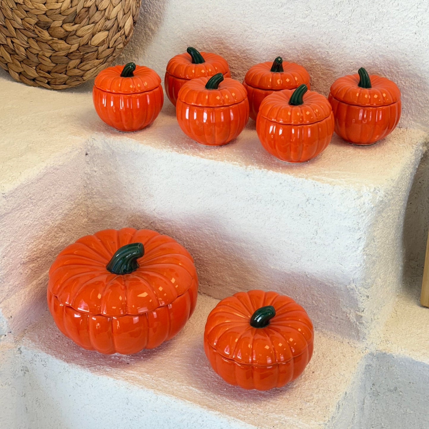 Alice 8 Parça Kabak Baharat Seti (Kısa Süreli Süper Fiyat)