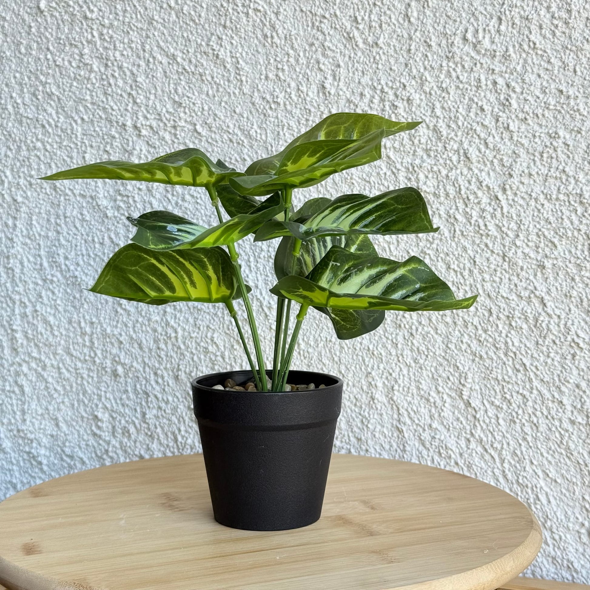 Difenbahya Saksılı Yapay Çiçek 25 cm Yeşil-Beyaz Yapraklı