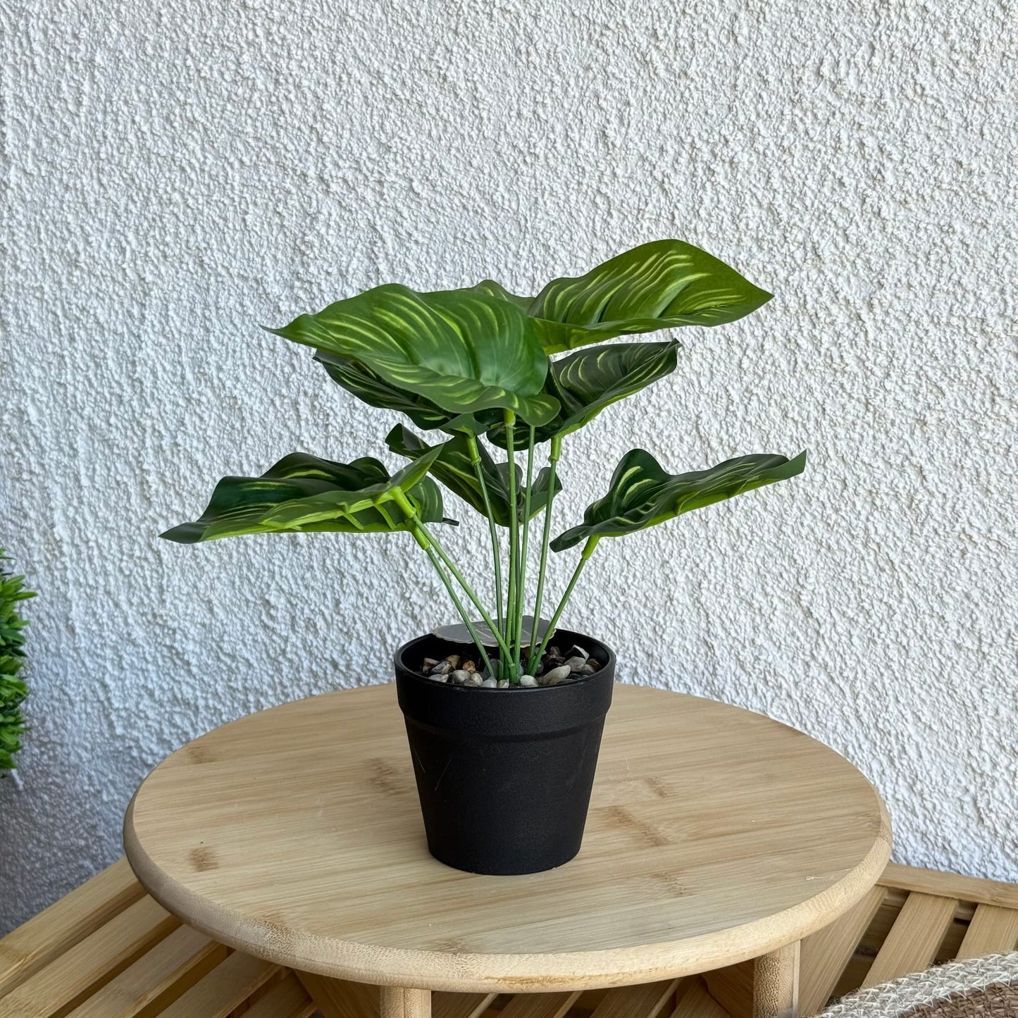 Difenbahya Saksılı Yapay Çiçek 25 cm Yeşil-İnçe Çizgili Yaprak