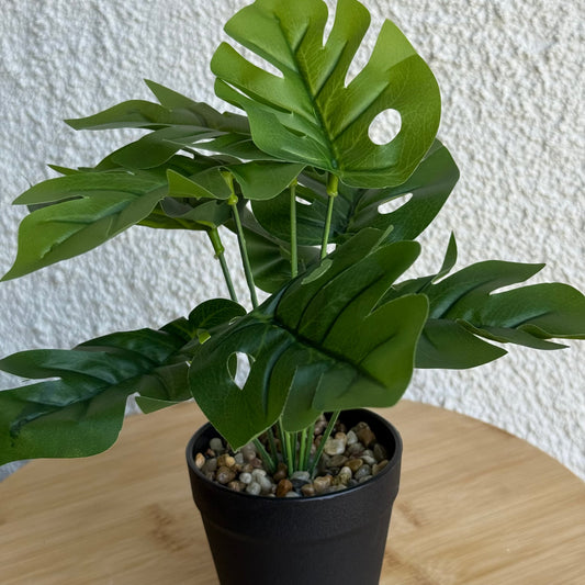 Difenbahya Saksılı Yapay Çiçek 25 cm Düz Yeşil Yapraklı