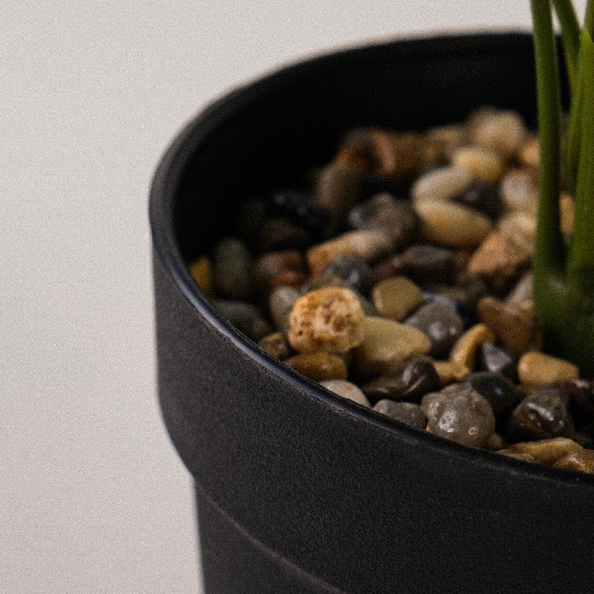 Difenbahya Saksılı Yapay Çiçek 25 cm Düz Yeşil Yapraklı