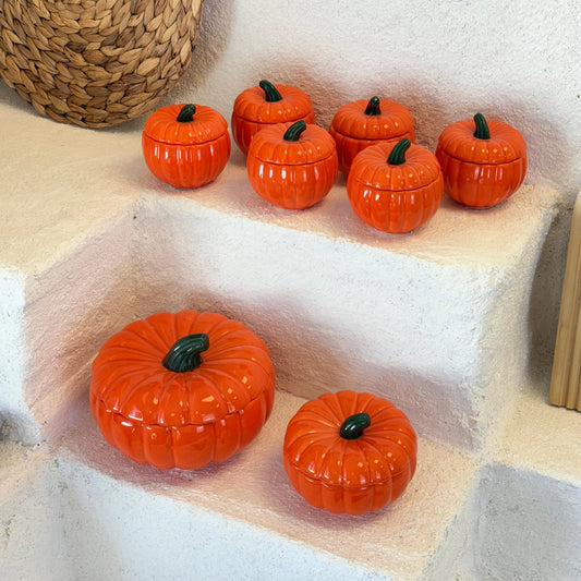 Alice 8 Parça Kabak Baharat Seti (Kısa Süreli Süper Fiyat)