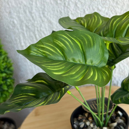 Difenbahya Saksılı Yapay Çiçek 25 cm Yeşil-İnçe Çizgili Yaprak