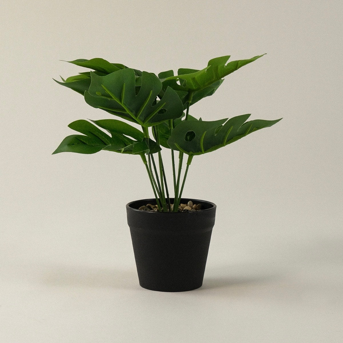 Difenbahya Saksılı Yapay Çiçek 25 cm Düz Yeşil Yapraklı