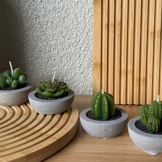 Kaktüs Saksılı Çiçek Mum Seti 4 Adet 6 CM