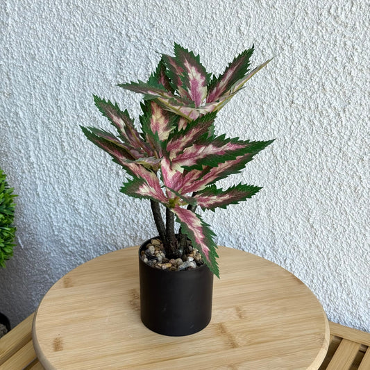 Coleus Saksılı Yapay Çiçek 30 cm Yeşil-Pembe