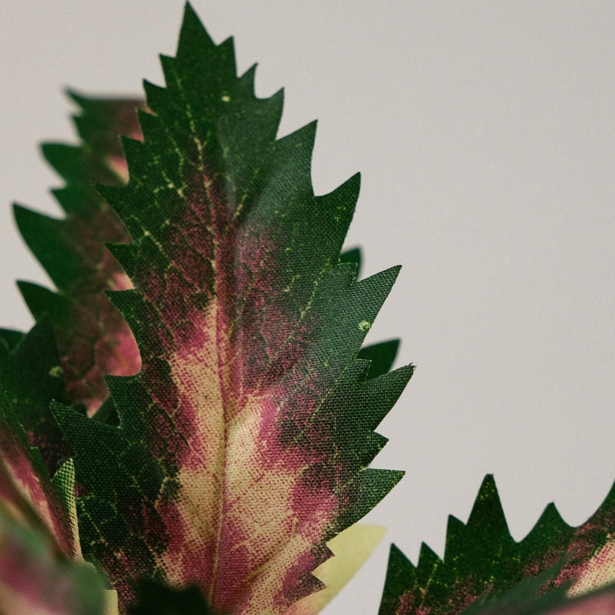 Coleus Saksılı Yapay Çiçek 30 cm Yeşil-Pembe