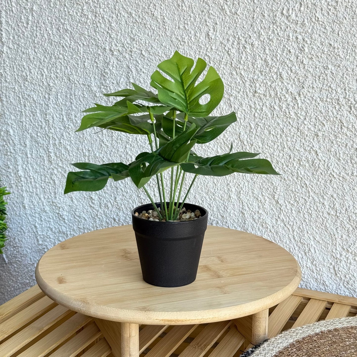 Difenbahya Saksılı Yapay Çiçek 25 cm Düz Yeşil Yapraklı